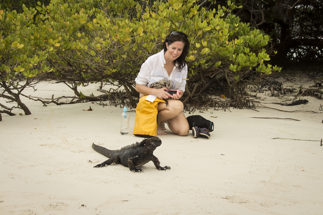 Watching a Galapagos marine iguana on kayaking trip.